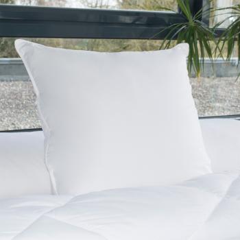 &#127467;&#127479; Oreiller Gonflant Alaska, 700gr/m, 60x60cm, Enveloppe 100% Coton Percale