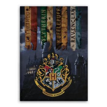 Plaid Polaire Harry Potter, L'Ecole des Sorciers, Multicolore, 100x140cm, 100% Polyester
